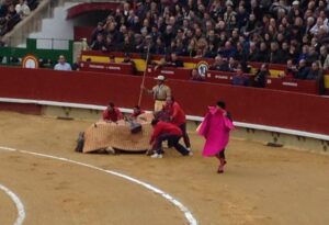 FEria magdalena G 29III14 (1) RA