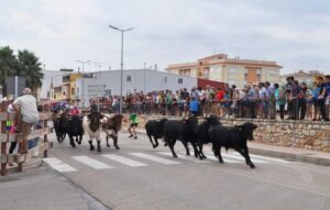 FOTO 2-ENCIERRO Vall d'Alba