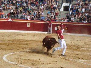 Festes Vilafranca (3)
