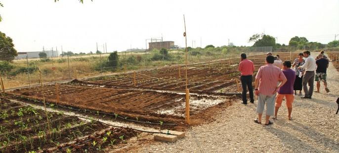 Visita de escolares a los Huertos Urbanos. 28/04/2015. AYUNTAMIENTO DE NULES