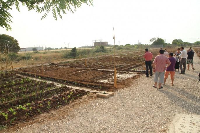 Adjudicacion de las parcelas de los Huertos Urbanos Solidarios. 29/06/2012. AYUNTAMIENTO DE NULES