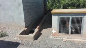 nules campnya mosquits pastilles basses