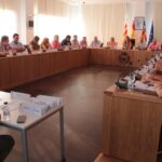 consell participación vila-real