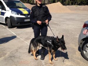 Unidad Canina Policia Local Castellon 060417