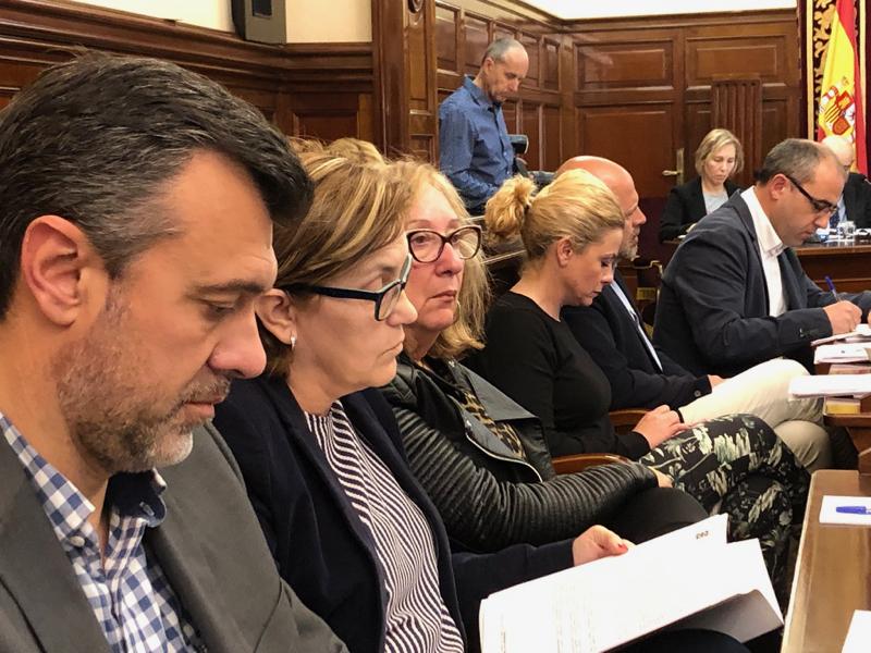 Pleno diputación 300419