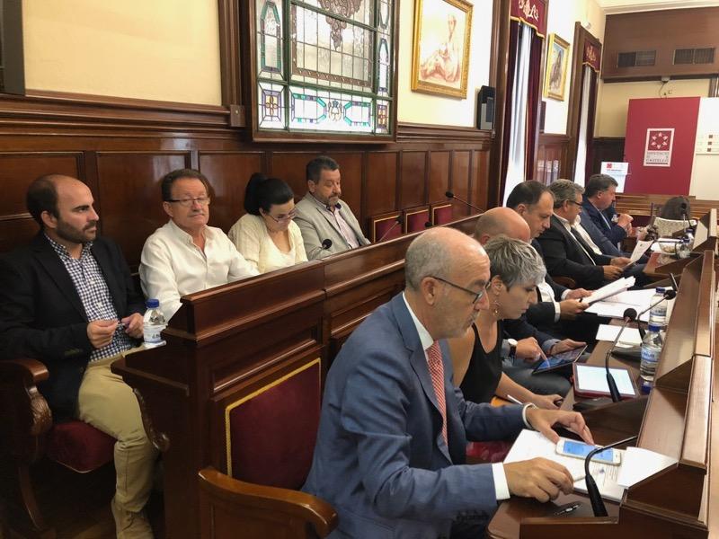 Pleno Diputacion 190618