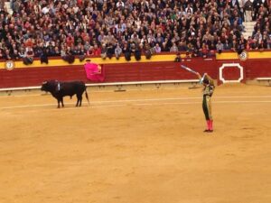 Corrida toros Magdalena 13III15