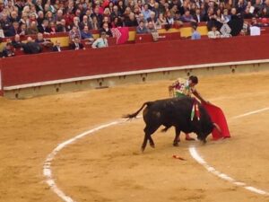 Corrida toros Magdalena 13III15