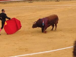 Corrida toros Magdalena 13III15