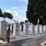 Nit Màxica Xarxa Teatro Magdalena 19