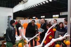 Fira Citrícola de Vila-real