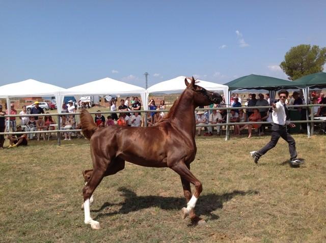 Soledad Ten Bachero 250718