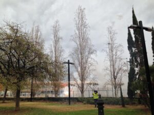 Magdalena 2016 27II16 mascletá