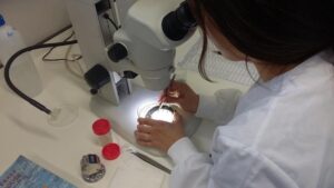 IPROMA_CulturaInnovación