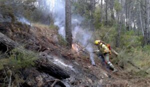 Incendio Artana 27VII16