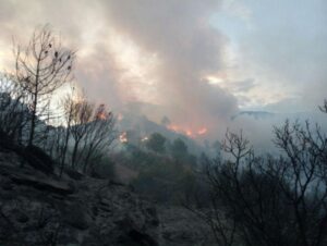 Incendio Gatova 290617 2