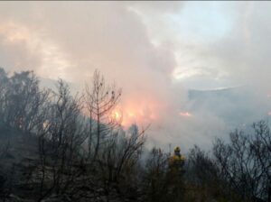 Incendio Gatova 290617