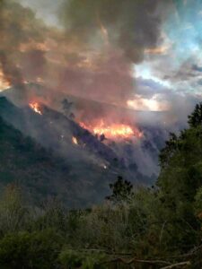 Incendio Gatova 290617 4