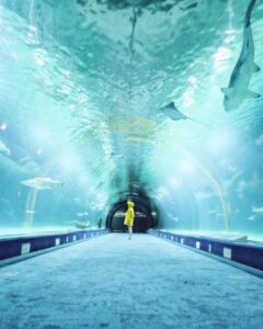 Instagramers a solas Oceanografic2