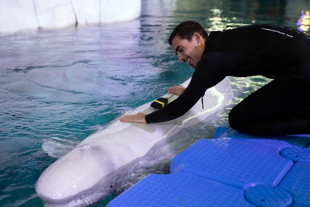 José Luis durante una de las sesiones con Yulka