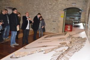 José Miguel Gasulla explica les característiques de Morelladon beltrani