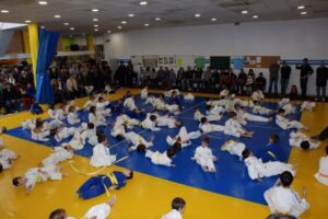 Judo Distrito 10