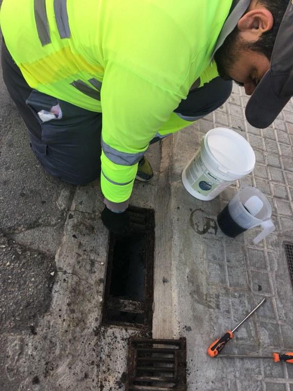 La Llosa sigue controlando el mosquito tigre_576x768