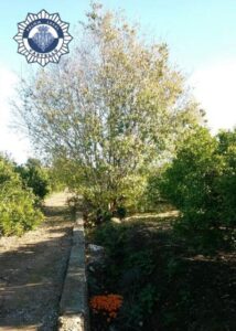 Lugar donde fue localizado el perro 10-05-15