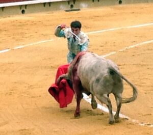 Magdalena Novillada 24III14 (10)