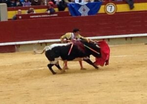 Magdalena Novillada 24III14 (19)