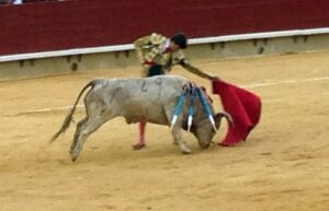 Magdalena Novillada 24III14 (23)