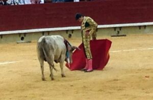 Magdalena Novillada 24III14 (27)