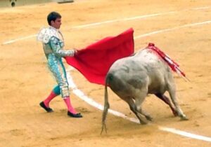 Magdalena Novillada 24III14 (9)