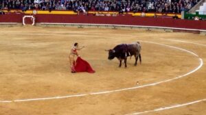 Magdalena toros 10III13 A Rafaelillo (5)