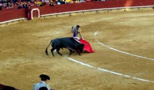 Magdalena toros 10III13 Bolivar