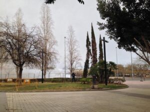 Mascleta 15III15 (131)