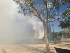 Mascleta 27III14 (10)