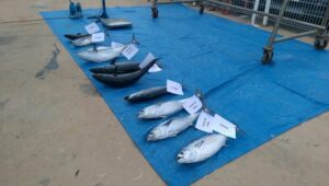 Metromar CNO Audaz JGarcia (2)