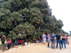 visites guiades Camins Penyagolosa