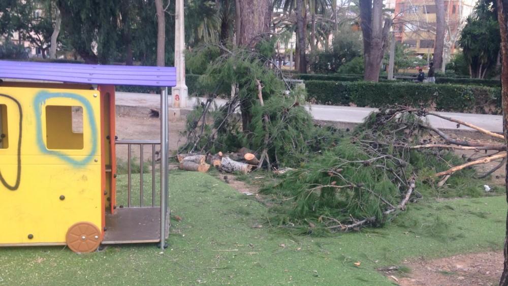 Parque Jardí Botànic Nules