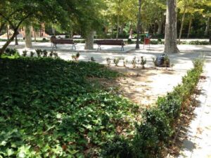 Parque Ribalta 16VII14 (10)