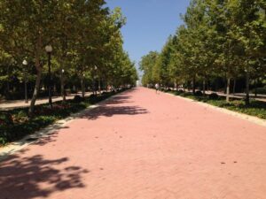 Parque Ribalta 16VII14 (2)