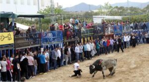 Pasqua Taurina Onda 2