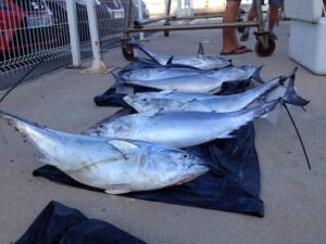 Pesca CN Oropesa 13VIII16 (73)