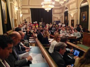 Pleno Ayuntameinto Castellón 28X15 (3)