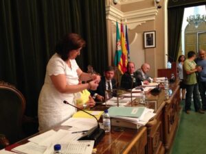 Pleno Ayuntamiento 31VII14 (116)