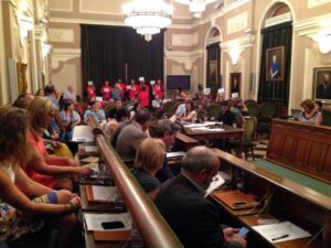 Pleno Ayuntamiento 31VII14 (38)