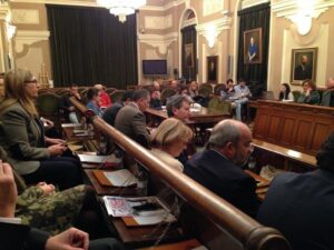 Pleno Ayuntamiento Castellón 22I15 (16)