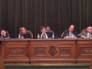 Pleno Ayuntamiento Castellón 22I15 (30)
