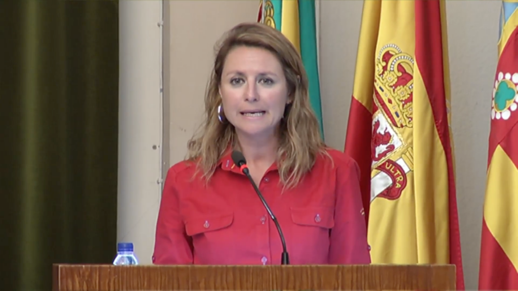 Pleno Ayuntamiento Castellón 26V16 (95) Begoña Carrasco PP